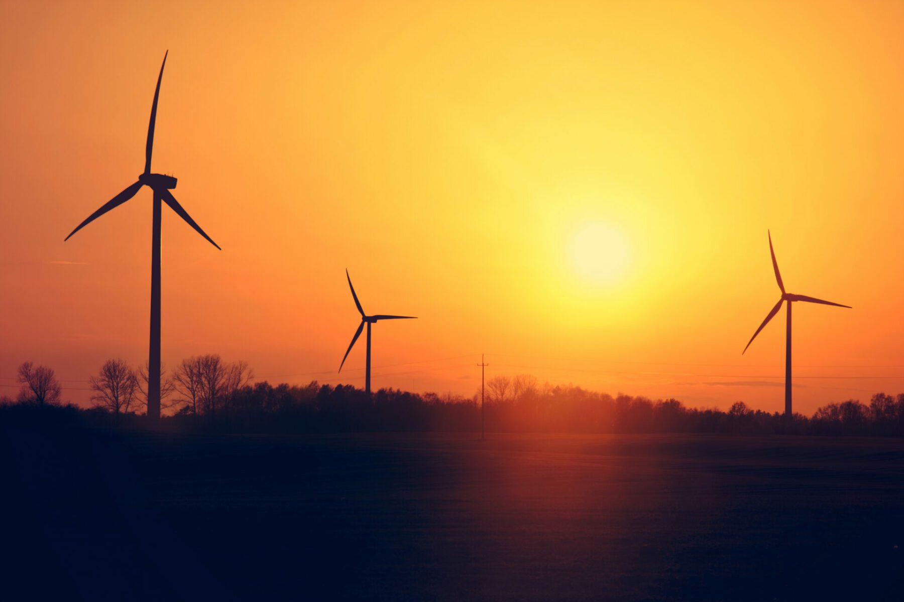 Windmills And Sunset.
